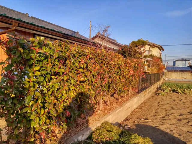 あなたのお庭、綺麗にします。コミュニケーションを第一に、癒しの庭を提案します。サービスの画像