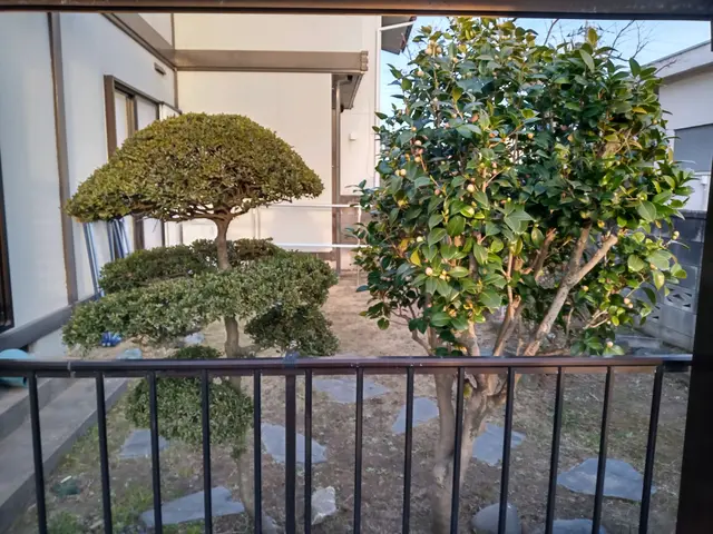 あなたのお庭、綺麗にします。コミュニケーションを第一に、癒しの庭を提案します。サービスの画像