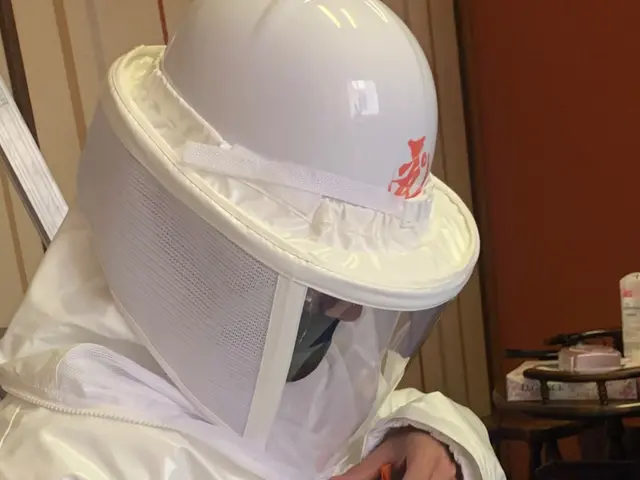 ◆ハチの巣駆除◆ 危険な駆除，お任せください！サービスの画像