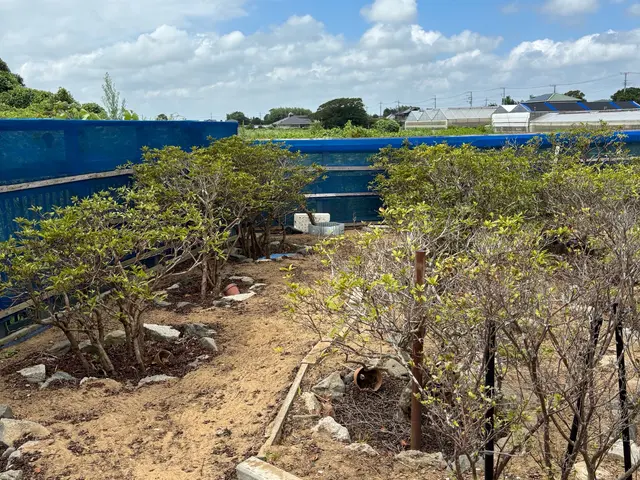 ★千葉、茨城、地域密着店★非喫煙者★損害保険加入店★インボイス登録店サービスの画像