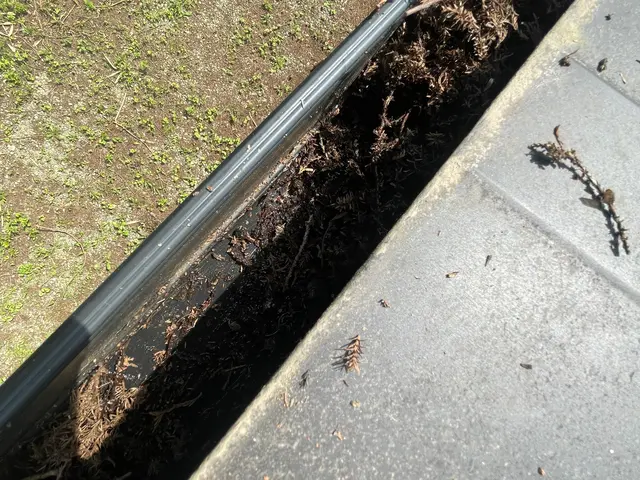 『最短当日24時間対応』『格安対応』雨樋清掃はプロにお任せ！ 詰りを格安解消サービスの画像