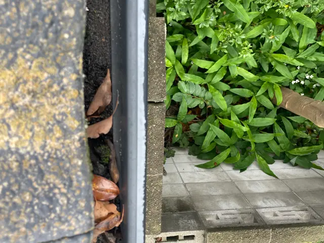 『最短当日24時間対応』『格安対応』雨樋清掃はプロにお任せ！ 詰りを格安解消サービスの画像