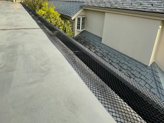 『最短当日24時間対応』『格安対応』雨樋清掃はプロにお任せ！ 詰りを格安解消サービスの画像