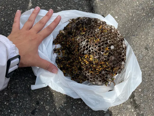 ◆年内保証有り◆アシナガバチ8800円〜◆女性同行サービスの画像