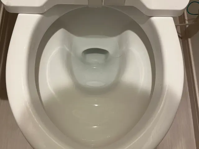 水垢・尿石◉ ウォッシュレットもお任せください。サービスの画像