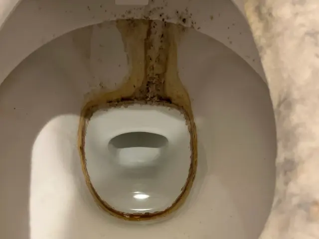 水垢・尿石◉ ウォッシュレットもお任せください。サービスの画像