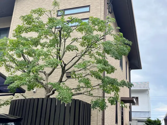 【☆地域密着で営業中☆】安心してお気軽にご相談ください！！サービスの画像