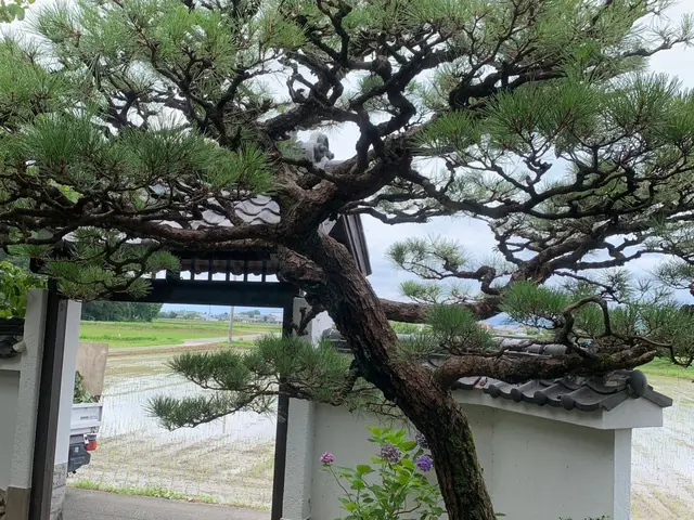 【☆地域密着で営業中☆】安心してお気軽にご相談ください！！サービスの画像