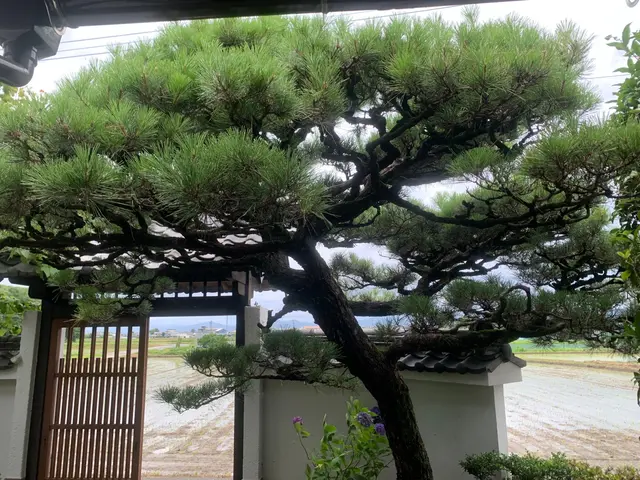 【☆地域密着で営業中☆】安心してお気軽にご相談ください！！サービスの画像