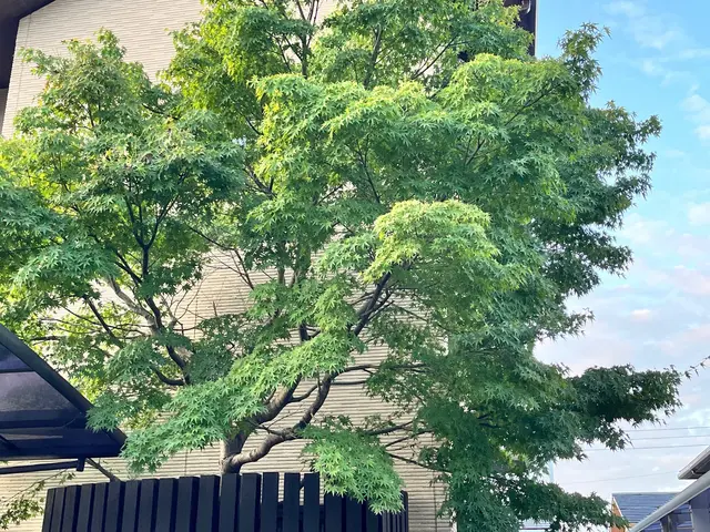 【☆地域密着で営業中☆】安心してお気軽にご相談ください！！サービスの画像