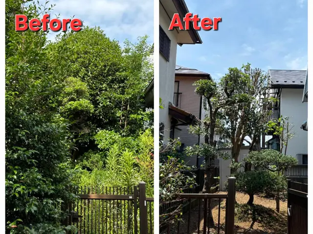 シンボルツリー、最高の”顔”に仕立てます！サービスの画像