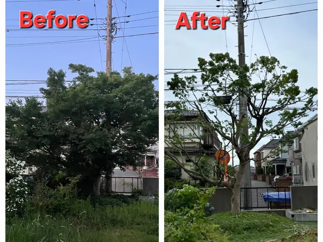 【剪定作業】◎庭木1本から対応可能！お気軽にご相談を！サービスの画像