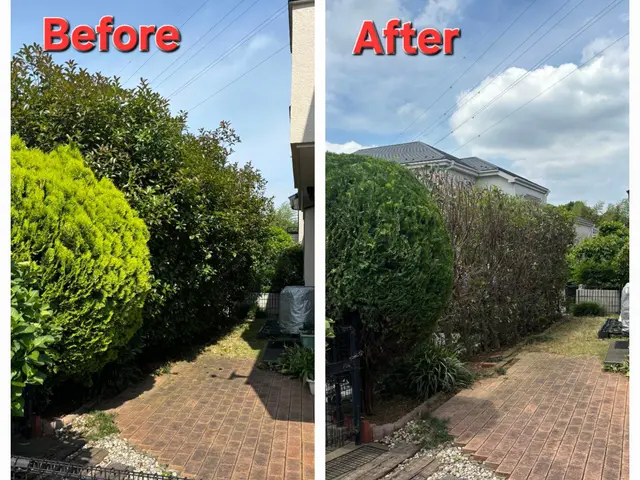 シンボルツリー、最高の”顔”に仕立てます！サービスの画像