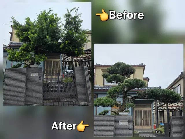 【庭木の剪定】美しい自然樹形に仕立てます！サービスの画像
