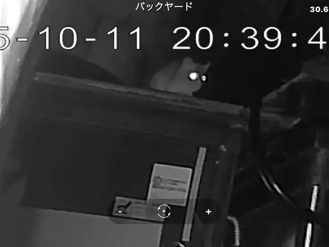 業界実績30年、作業実績1000件以上！限りなく“0”に近づけるネズミ駆除サービスの画像