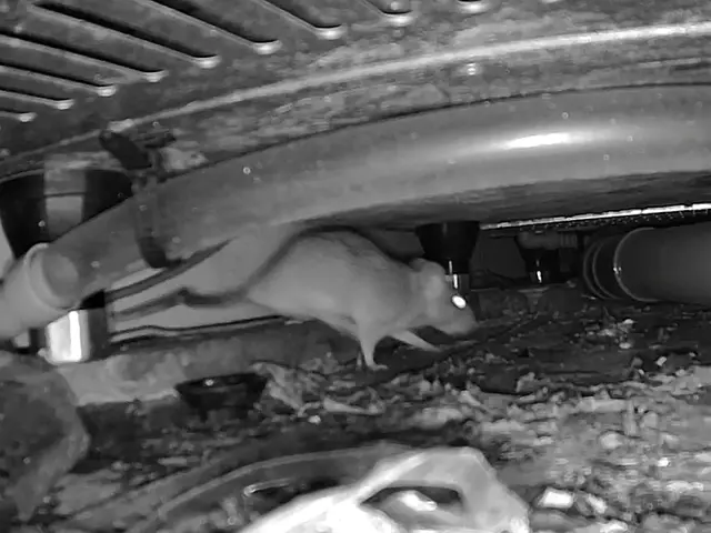 業界実績30年、作業実績1000件以上！限りなく“0”に近づけるネズミ駆除サービスの画像