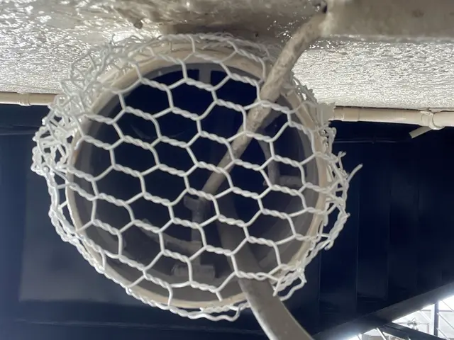 業界実績30年、作業実績1000件以上！限りなく“0”に近づけるネズミ駆除サービスの画像