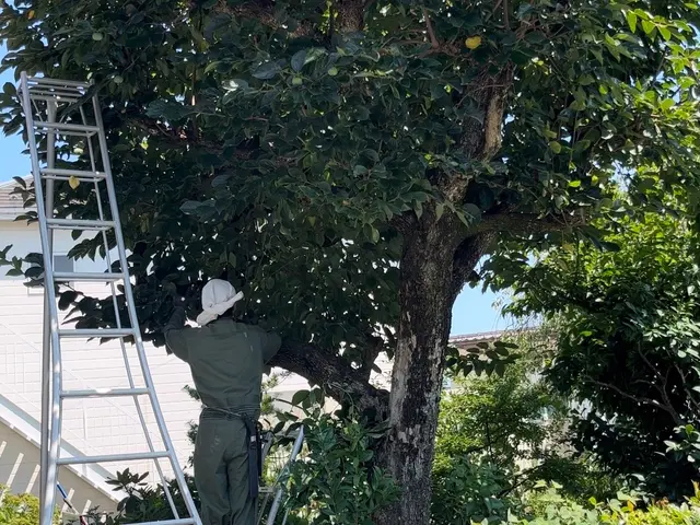 【☆地域密着で営業中☆】安心してお気軽にご相談ください！！サービスの画像