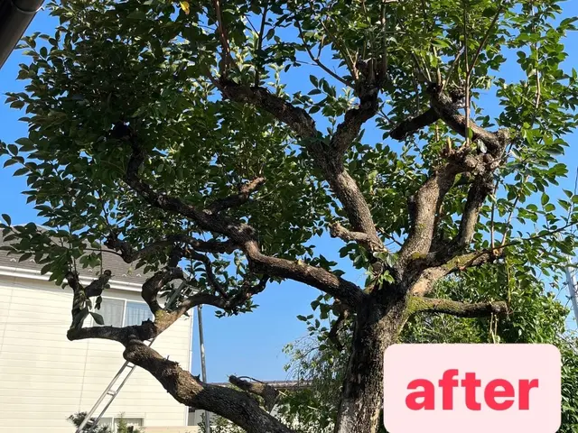 【☆地域密着で営業中☆】安心してお気軽にご相談ください！！サービスの画像