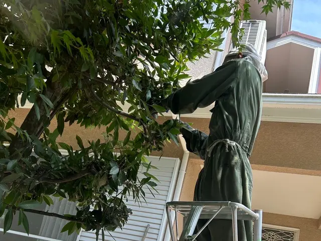 【☆地域密着で営業中☆】安心してお気軽にご相談ください！！サービスの画像