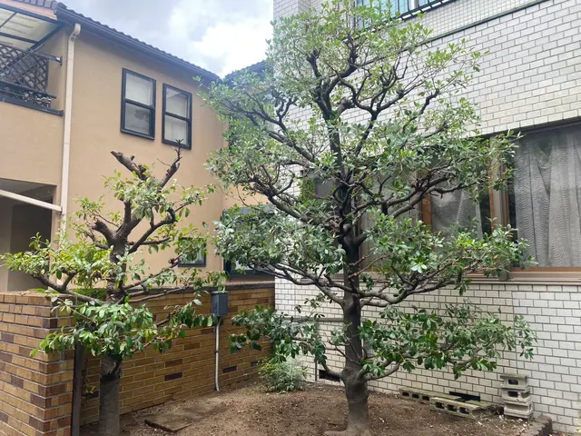 《平日・土ご予約歓迎！》経験豊富な職人が揃ってます！お問い合わせからでもどうぞ！サービスの画像