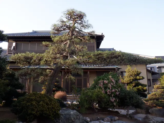 《平日・土ご予約歓迎！》経験豊富な職人が揃ってます！お問い合わせからでもどうぞ！サービスの画像