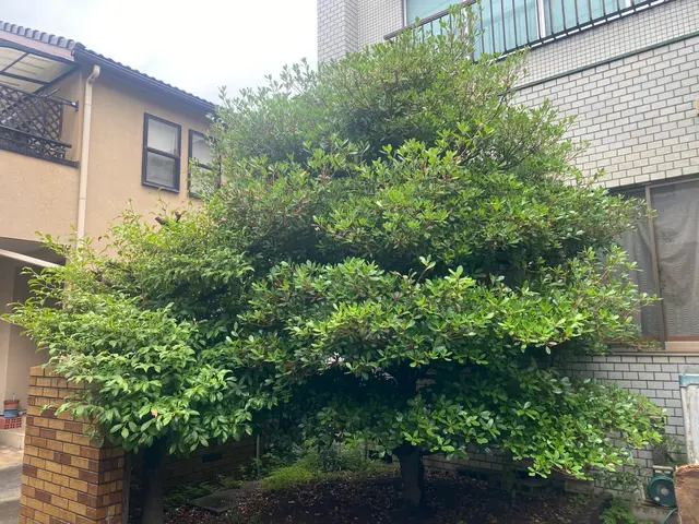 《平日・土ご予約歓迎！》経験豊富な職人が揃ってます！お問い合わせからでもどうぞ！サービスの画像