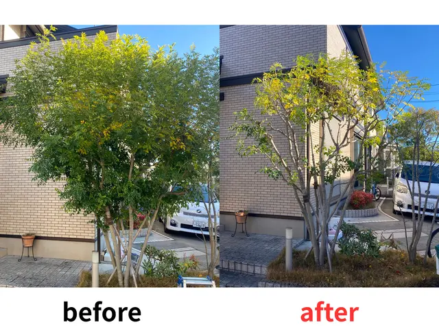 《平日・土ご予約歓迎！》経験豊富な職人が揃ってます！お問い合わせからでもどうぞ！サービスの画像