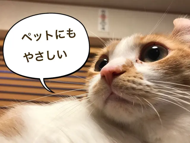 2台17,000円3台24,000円☆お子様、ペットに安心の天然植物洗剤サービスの画像