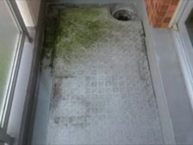 バルコニークリーニング☆サービスの画像