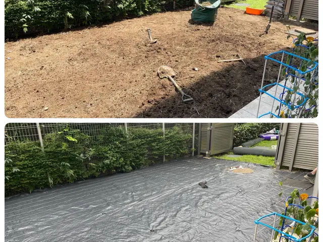 明るいお庭作り♪ お庭の事ならお任せください。まずはお気軽にご相談ください^ ^サービスの画像