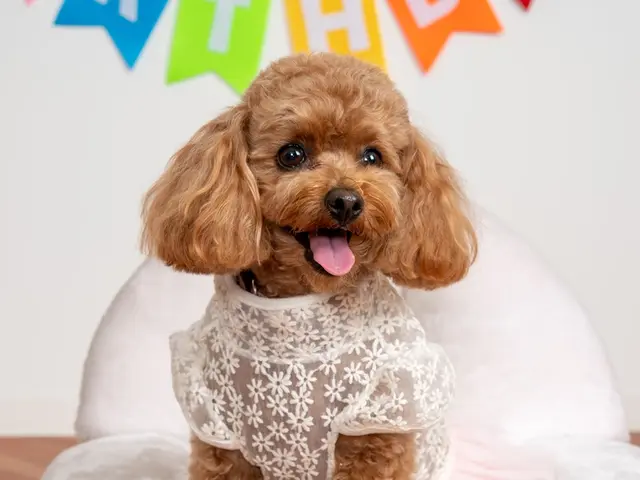 《撮影歴34年》大切な時間を色鮮やかにを切り取りますサービスの画像