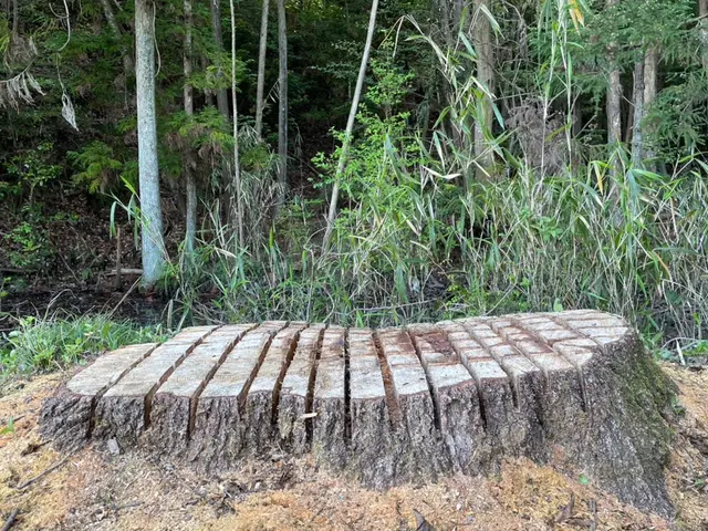 【親切・丁寧】有資格技術者同行OK！すべて自社対応しております。サービスの画像