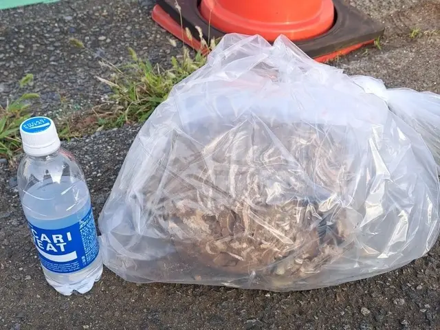 他で断られた蜂の巣、私が何とか致します。害虫駆除の国家資格有り。サービスの画像