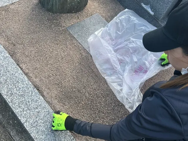 お庭、空き地の草むしりサービスサービスの画像