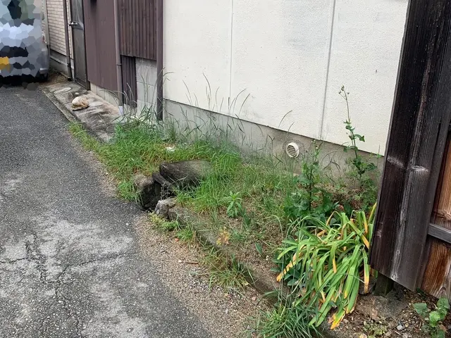 お庭、空き地の草むしりサービスサービスの画像