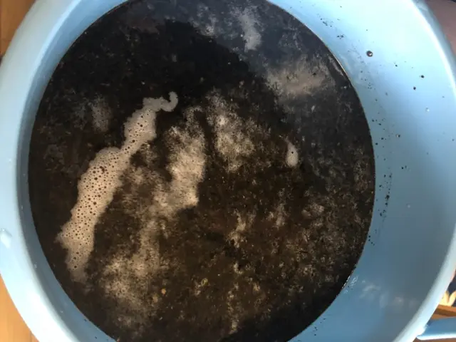 ☆☆出店5周年キャンペーン☆☆通常価格→20%OFF中★4年連続アワード受賞店★サービスの画像