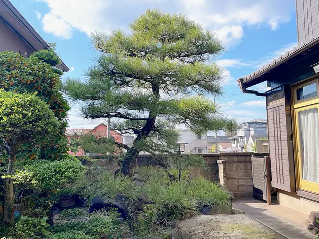 一緒に庭づくりを楽しみましょう！年間120件の施工実績サービスの画像