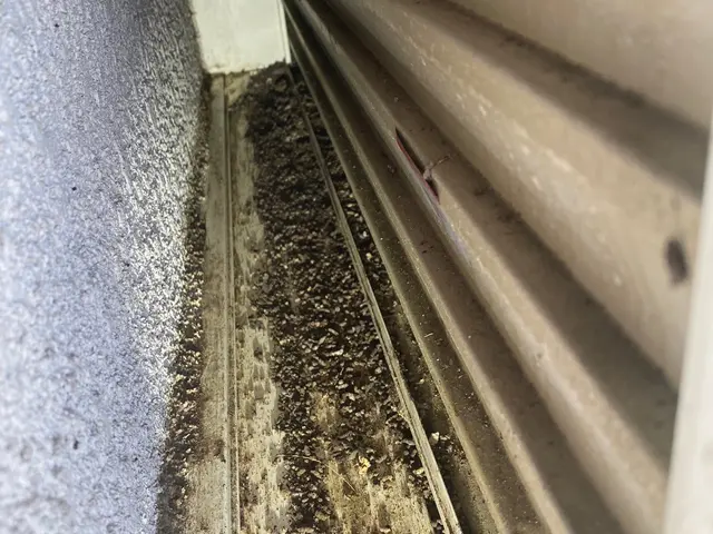 #調査無料☆施工実績口コミ多数☆完全自社施工☆害獣駆除は害獣ゼロにお任せくださいサービスの画像