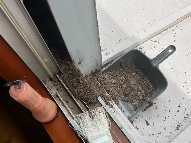 #調査無料☆施工実績口コミ多数☆完全自社施工☆害獣駆除は害獣ゼロにお任せくださいサービスの画像