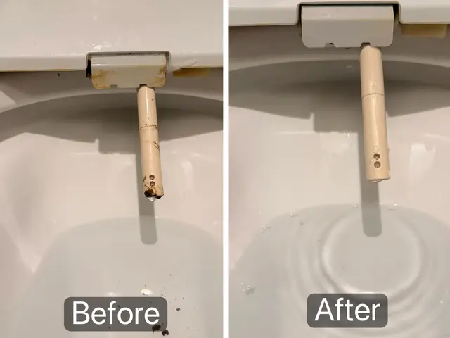 今だけ！オープン記念 セット割でお得！カテゴリが違ってもOK!サービスの画像