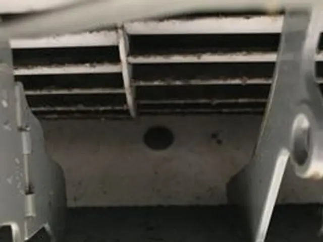 PayPay支払いOK♪10年の実績♪損害保険加入済みサービスの画像