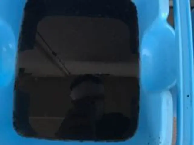 PayPay支払いOK♪10年の実績♪損害保険加入済みサービスの画像