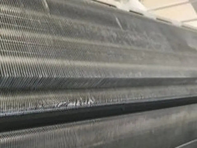 PayPay支払いOK♪10年の実績♪損害保険加入済みサービスの画像