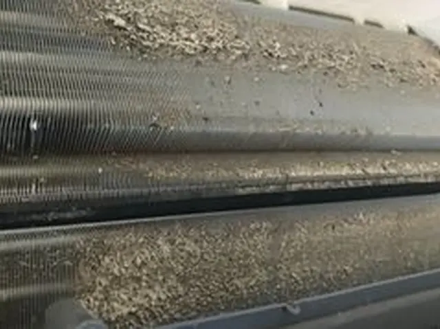 PayPay支払いOK♪10年の実績♪損害保険加入済みサービスの画像