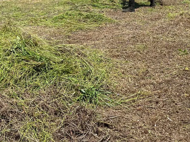 草刈りは当店でお任せ下さい。早くて綺麗に刈る。是非、お任せください。サービスの画像