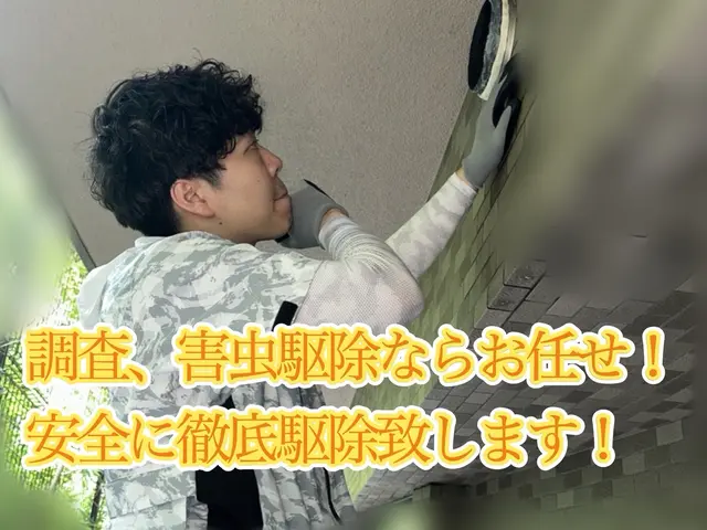 即日対応可能！有資格者による毛虫駆除、対策！もう見たくないを実現します！サービスの画像