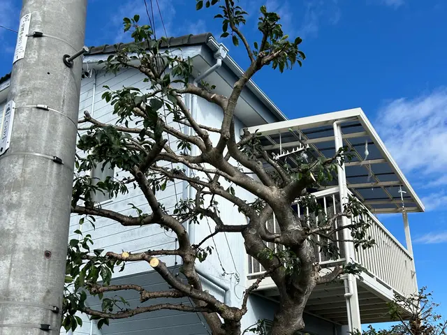 ◎親切丁寧に対応します◎お客様の要望を実現します！サービスの画像