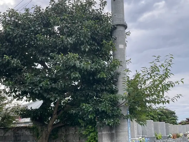 ◎親切丁寧に対応します◎お客様の要望を実現します！サービスの画像