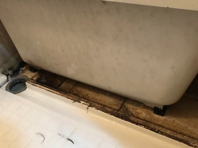 ◉季節による値段変動なし◉口コミ記入で1,100円引き◉必ずスリッパで訪問しますサービスの画像